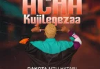 Dakota Mtu Hatari – Acha Kujlegeza